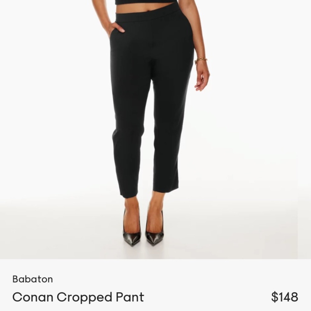 Aritzia Babaton Conan Pant